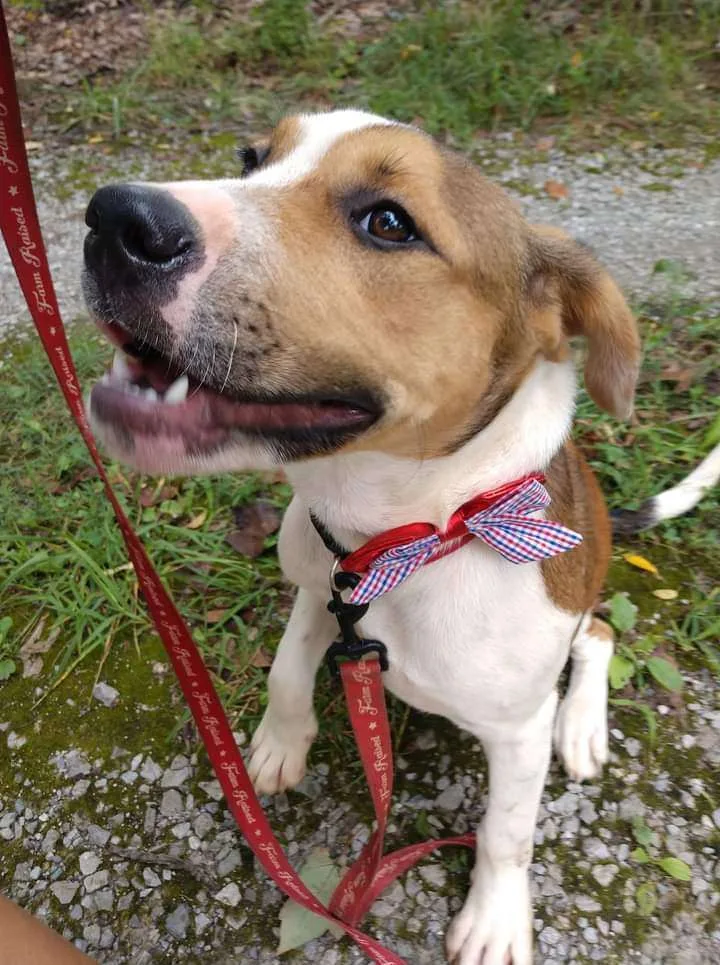 Pillsbury thumbnail 2