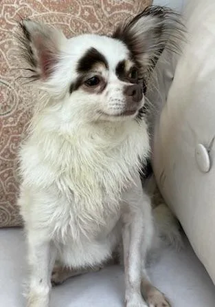 Gracie's Life!!! thumbnail 3