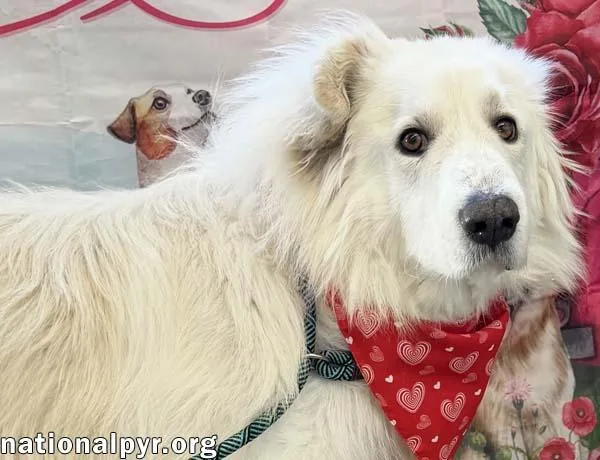 Jj In Oh  thumbnail 2