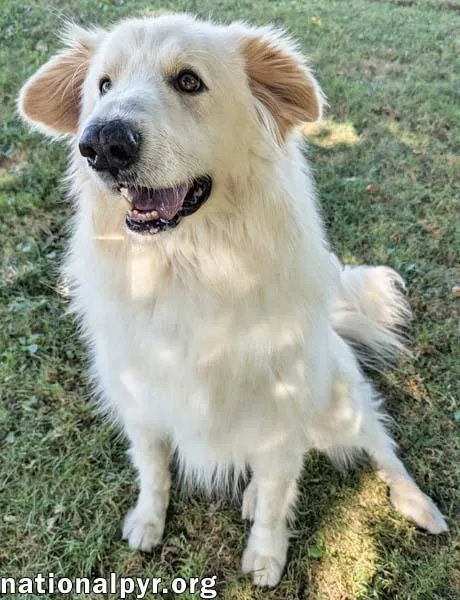 Jj In Oh  thumbnail 3