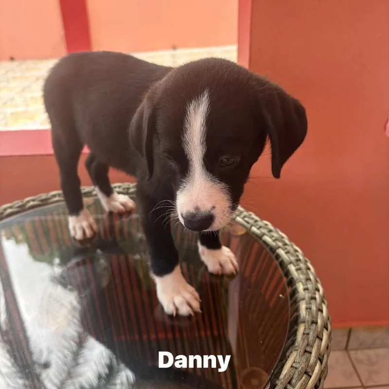 Danny