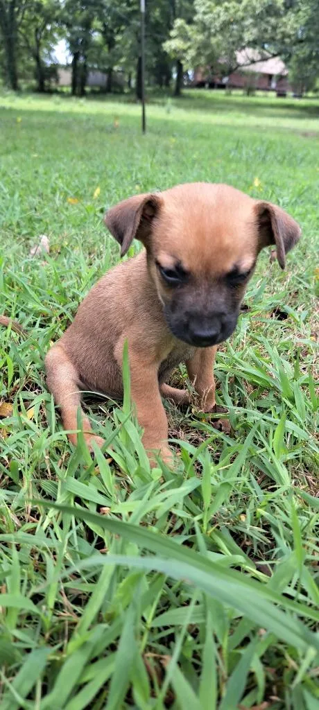 Jon Snow thumbnail 2