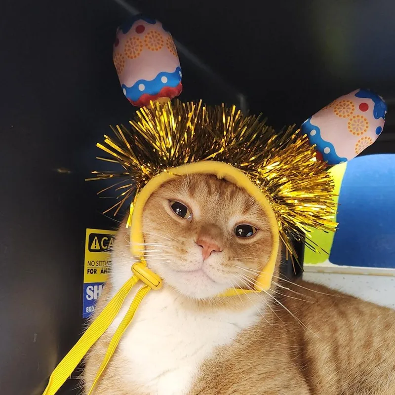 Buddy The Biscuit Maker thumbnail 3