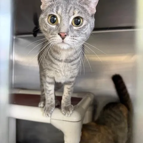 Boo In Prison Program thumbnail 2