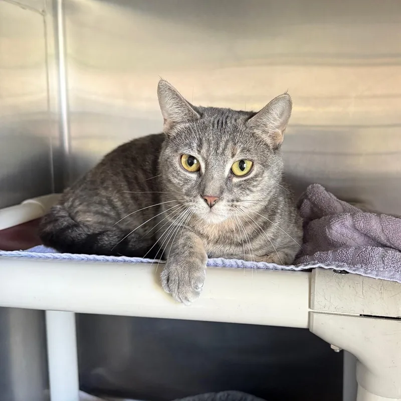 Boo In Prison Program thumbnail 3