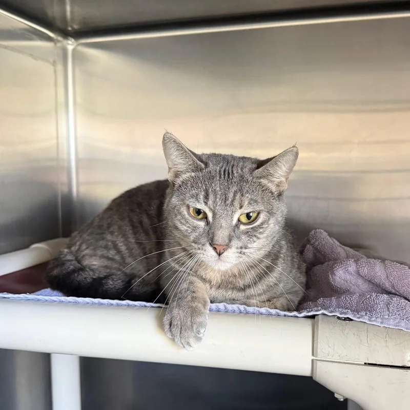 Boo In Prison Program thumbnail 4