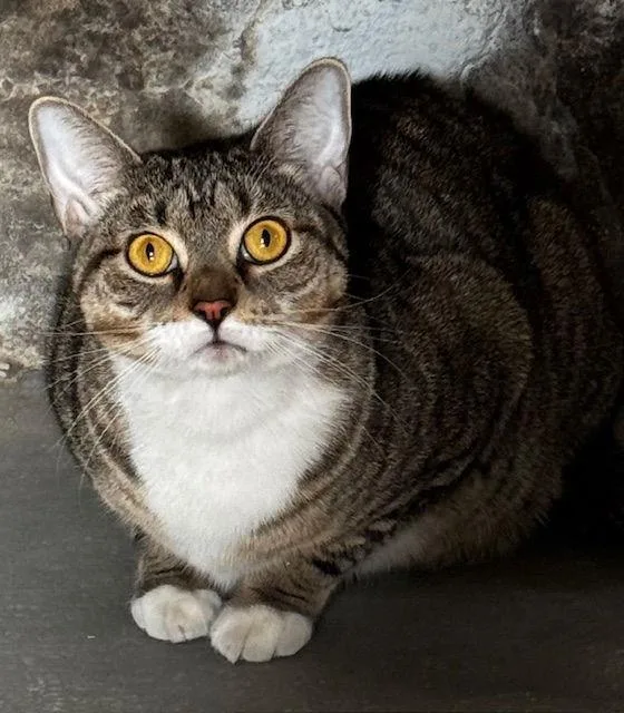 Sweetness thumbnail 2