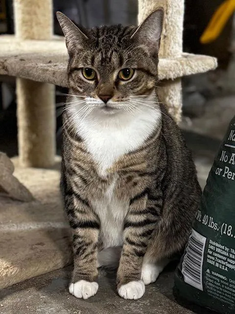 Sweetness thumbnail 3