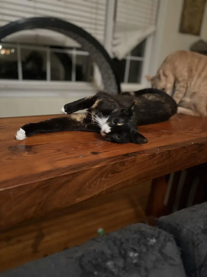 Marianne thumbnail 2