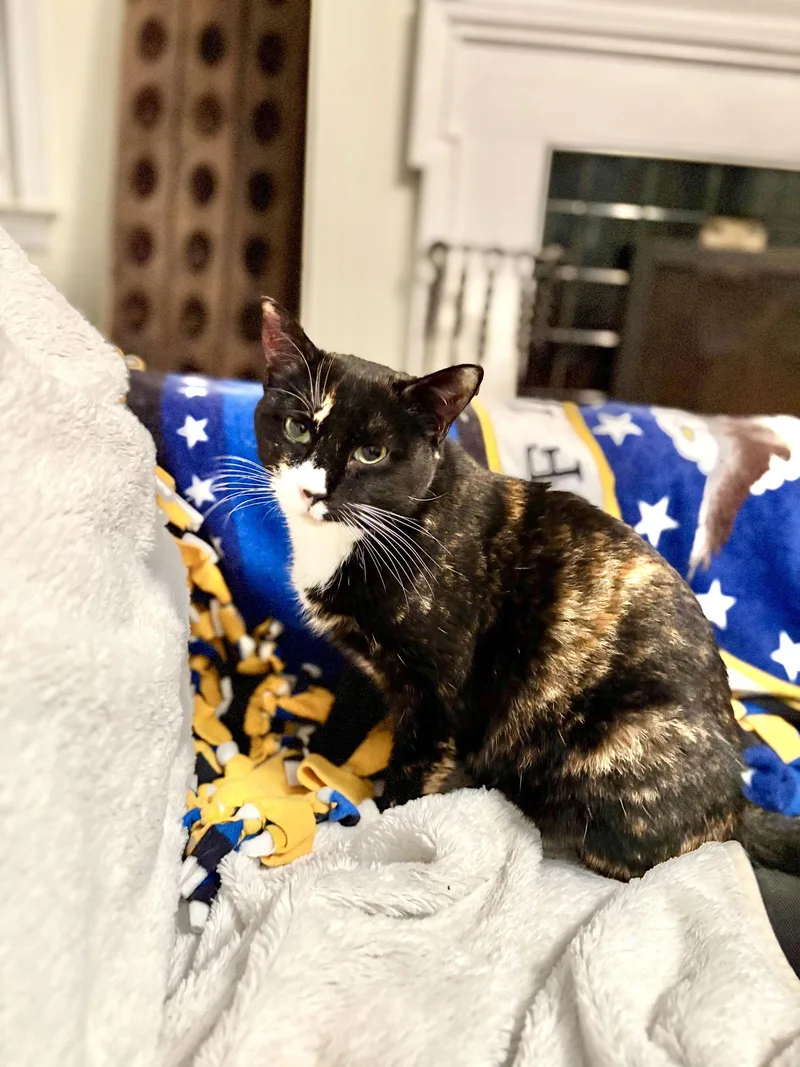 Marianne thumbnail 3