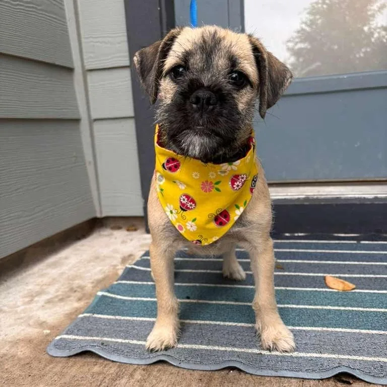 Nurse Dana thumbnail 2