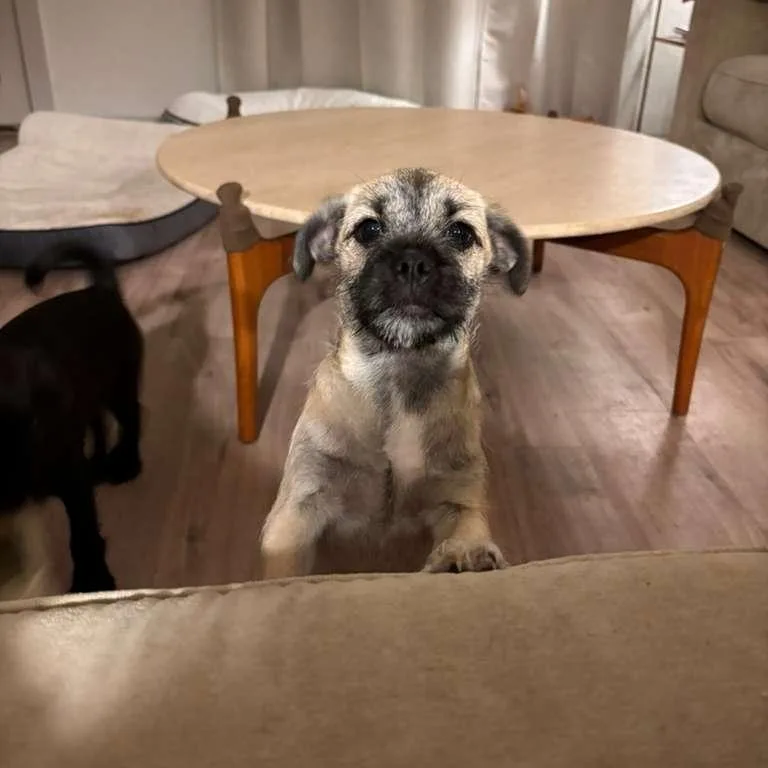 Nurse Dana thumbnail 3