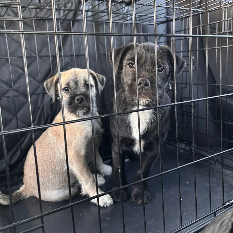 Nurse Dana thumbnail 4