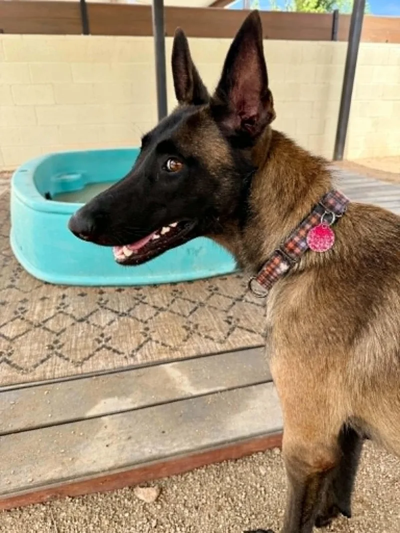 Luna thumbnail 5