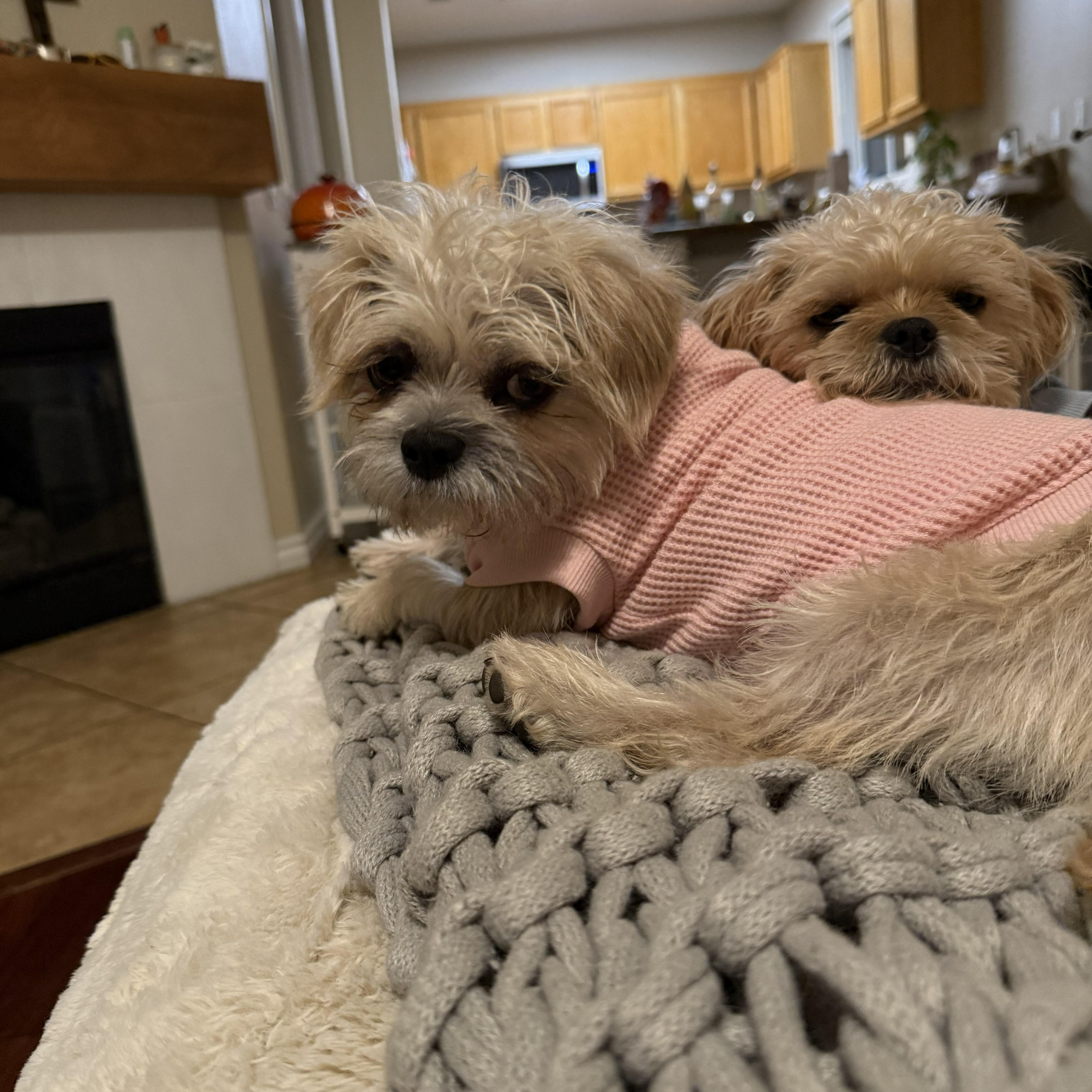 Sprout & Kiwi thumbnail 3