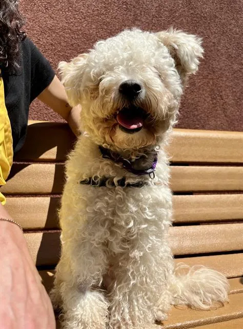 Oona
