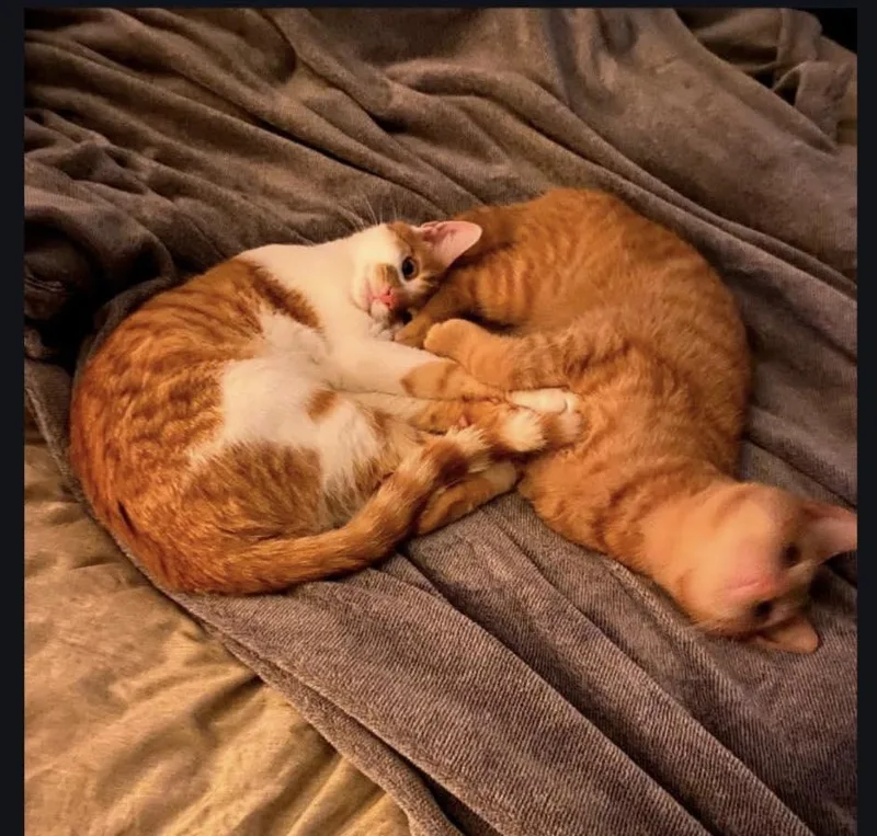 Axel & Polk
