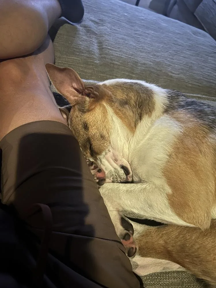Sox thumbnail 2