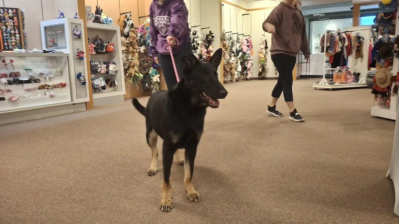 Rydergirl thumbnail 2