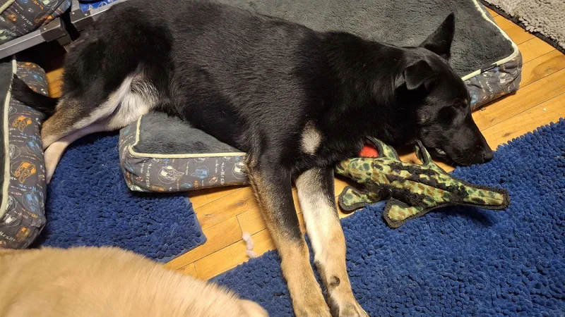 Rydergirl thumbnail 3