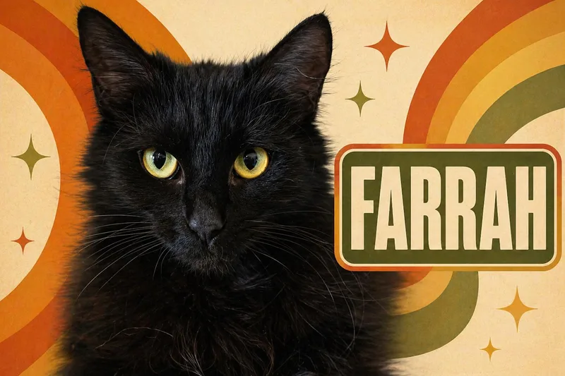 Farrah: Dmhsn Food thumbnail 3