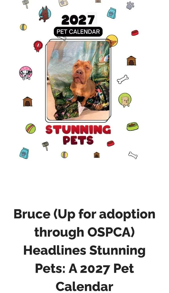 Bruce thumbnail 2