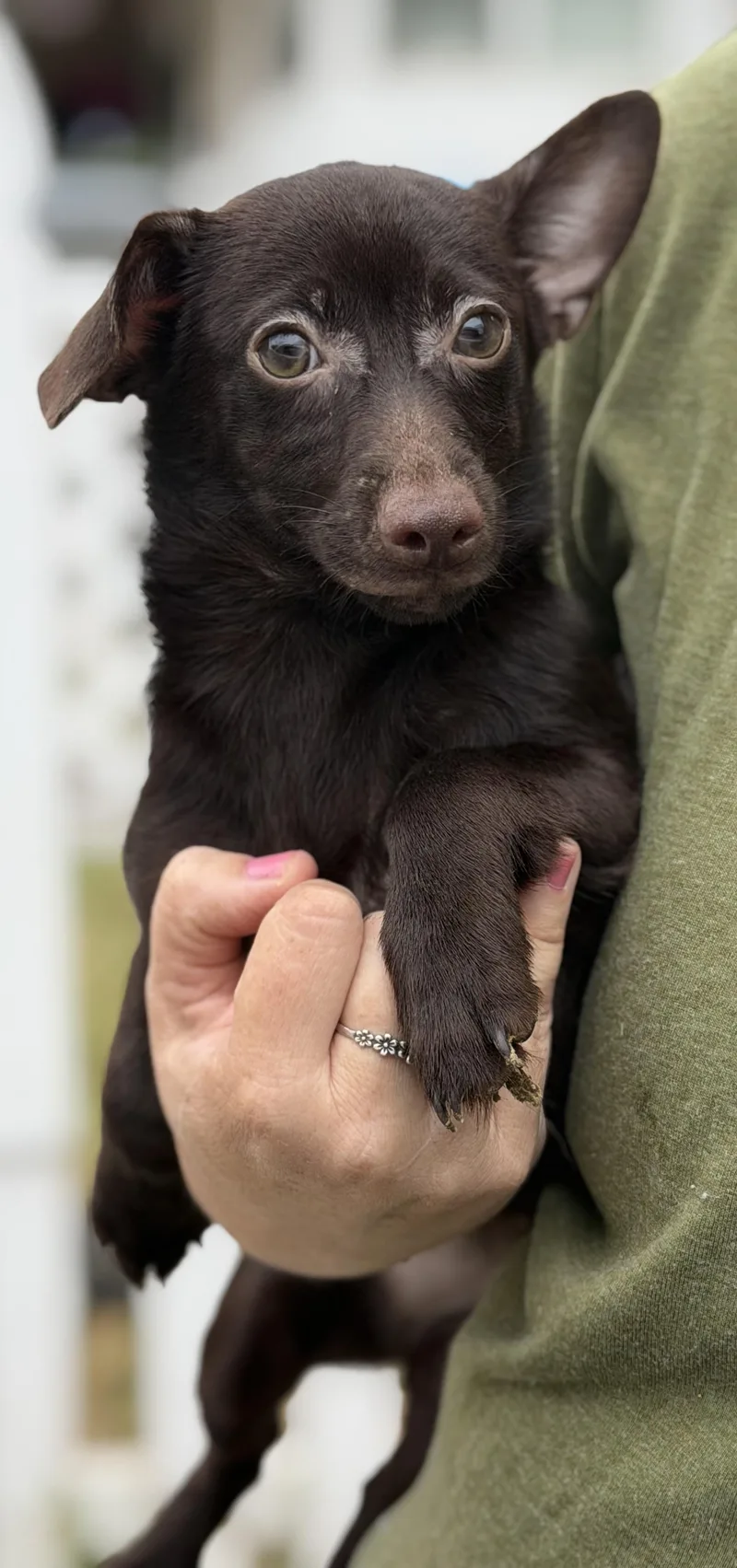 Ellie thumbnail 3