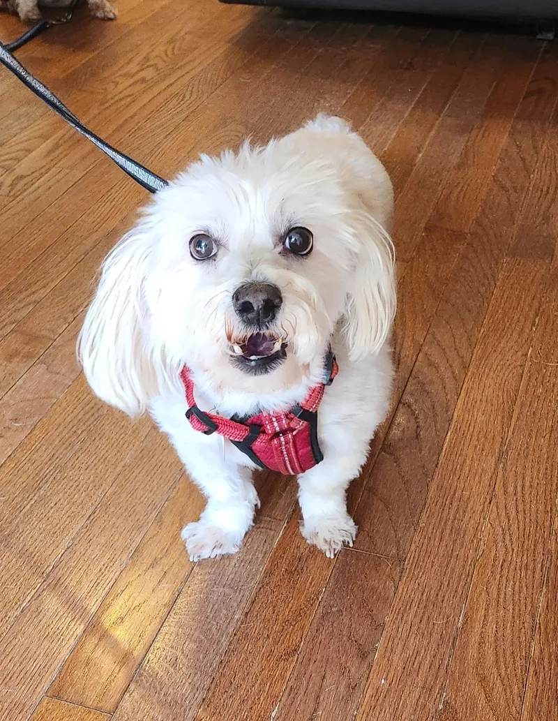 Blizzard thumbnail 2