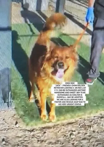 Charleyk thumbnail 2