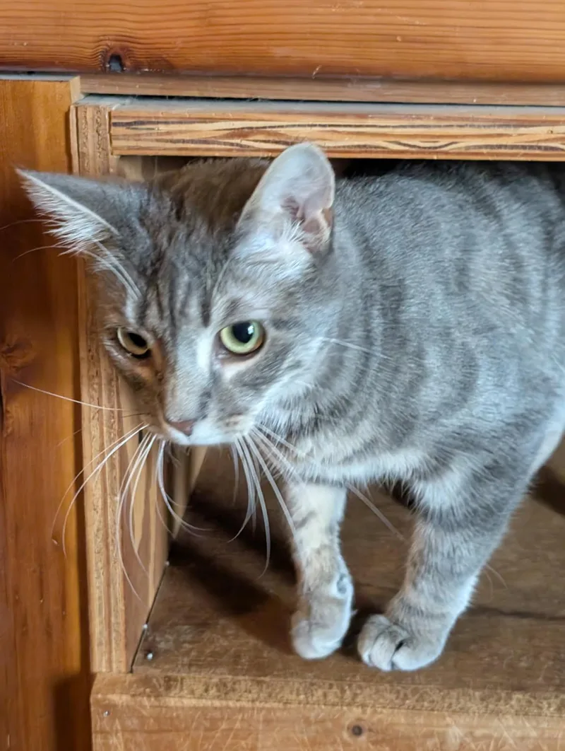 Erica Bonded With Simon thumbnail 2