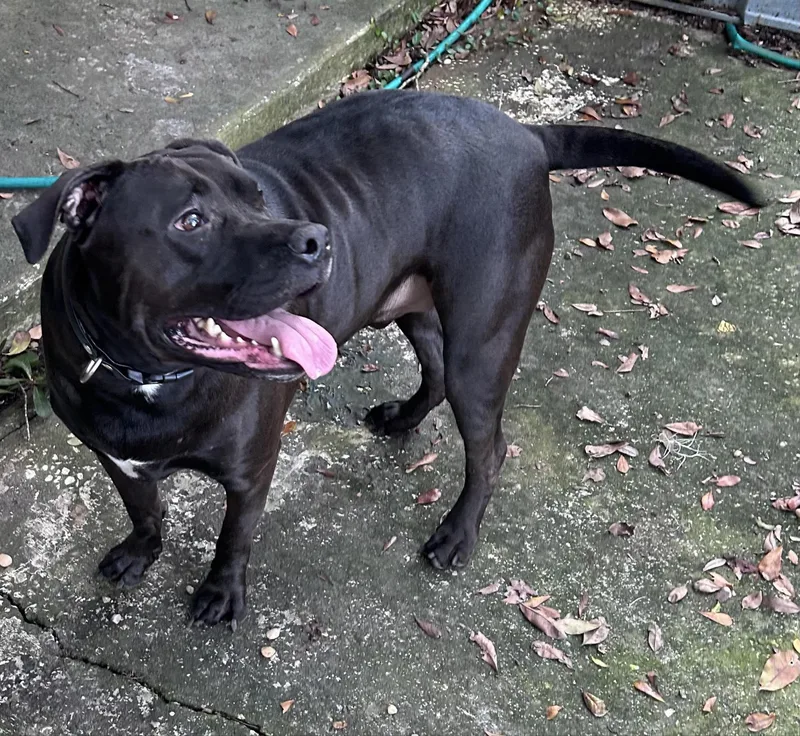 Emmitt!  Abandoned.  thumbnail 2