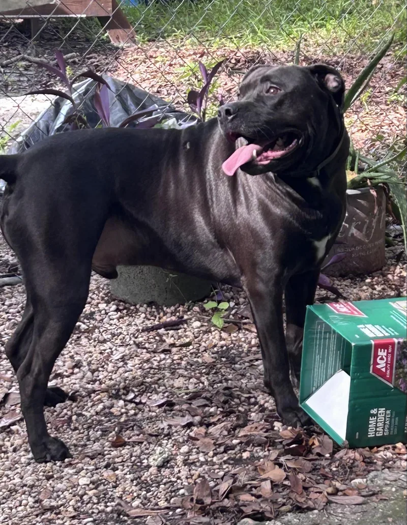 Emmitt!  Abandoned.  thumbnail 3