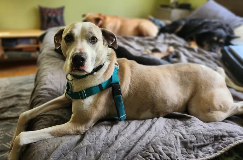 Precious thumbnail 2