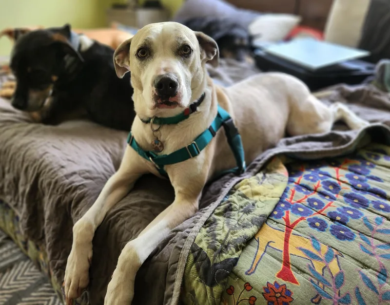 Precious thumbnail 3