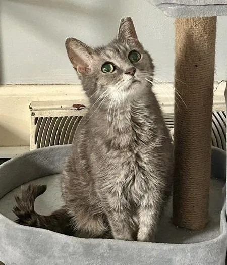Thelma Lou