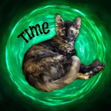 Time thumbnail 2