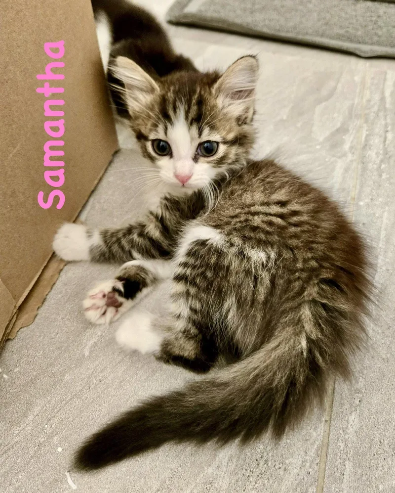 Samantha thumbnail 3