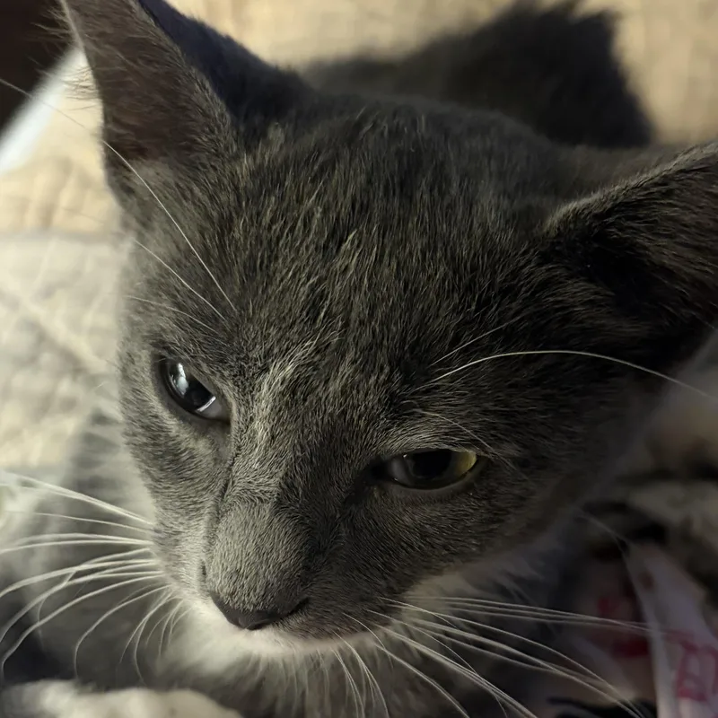 Tia Marie thumbnail 5