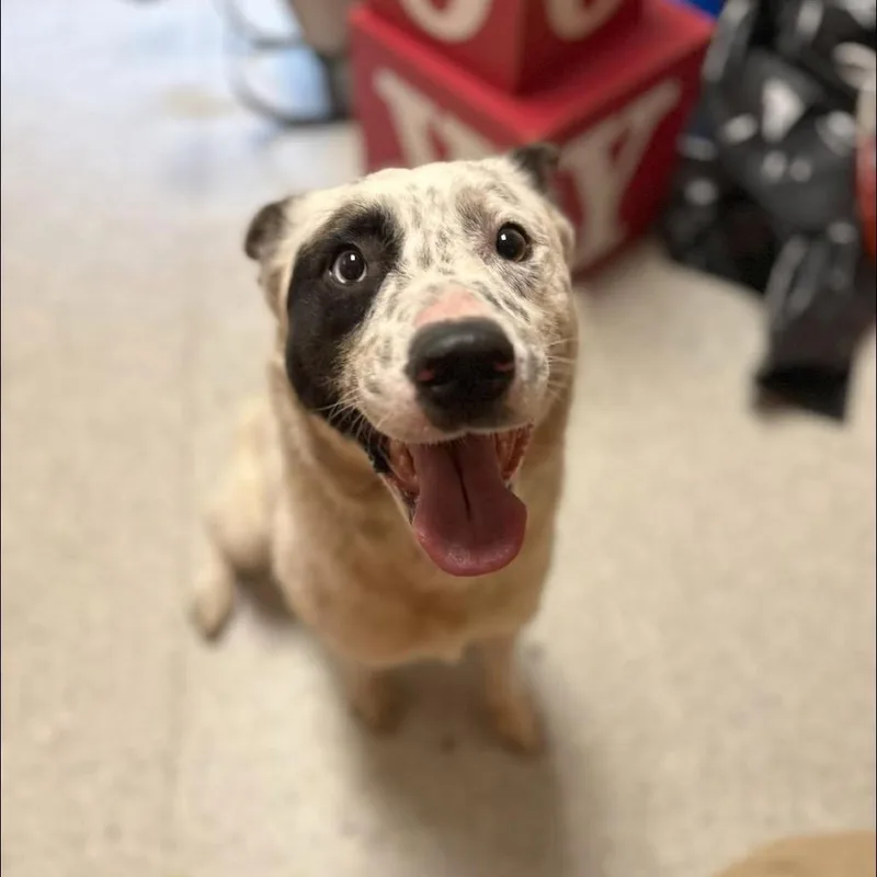 Klondike thumbnail 6