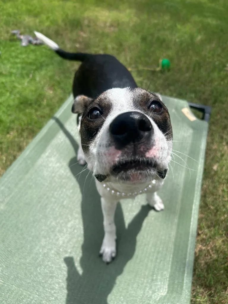 Josie thumbnail 5