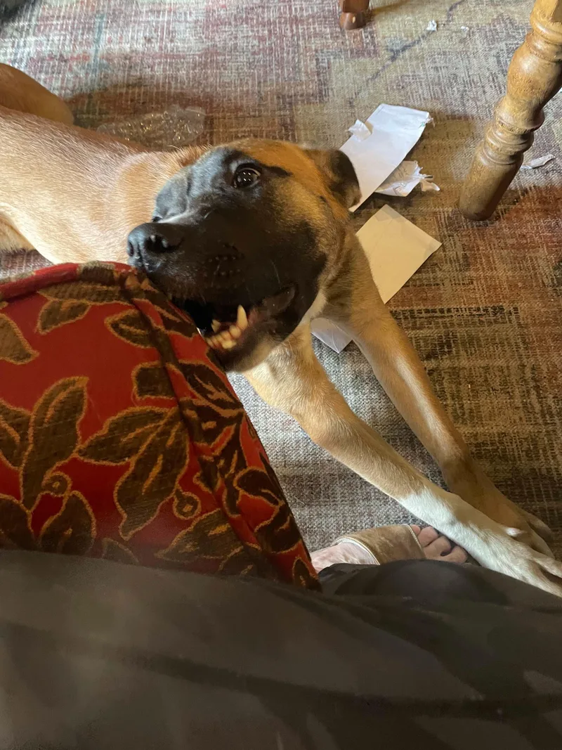 Maverick thumbnail 3