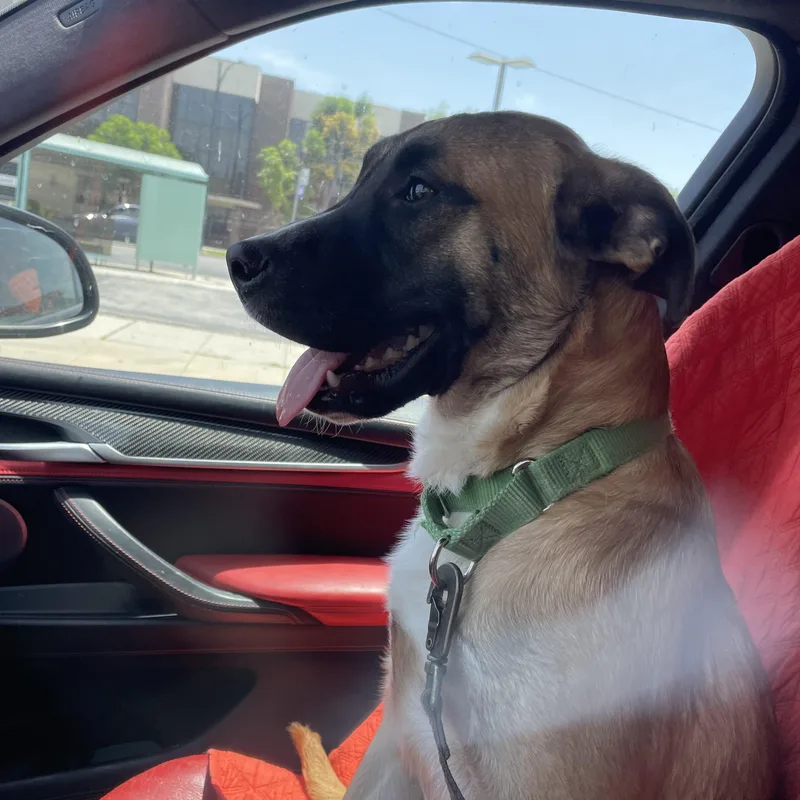 Maverick thumbnail 4