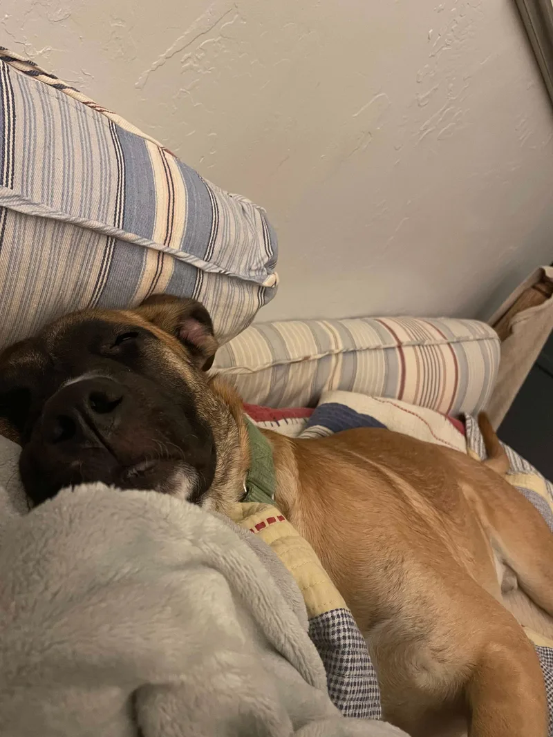 Maverick thumbnail 5