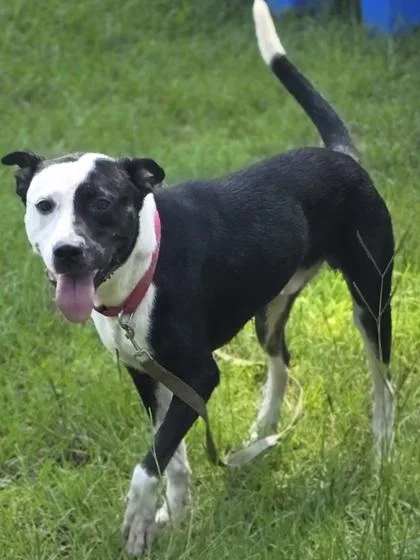 Keith Urban thumbnail 2