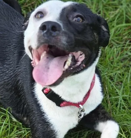 Keith Urban thumbnail 3