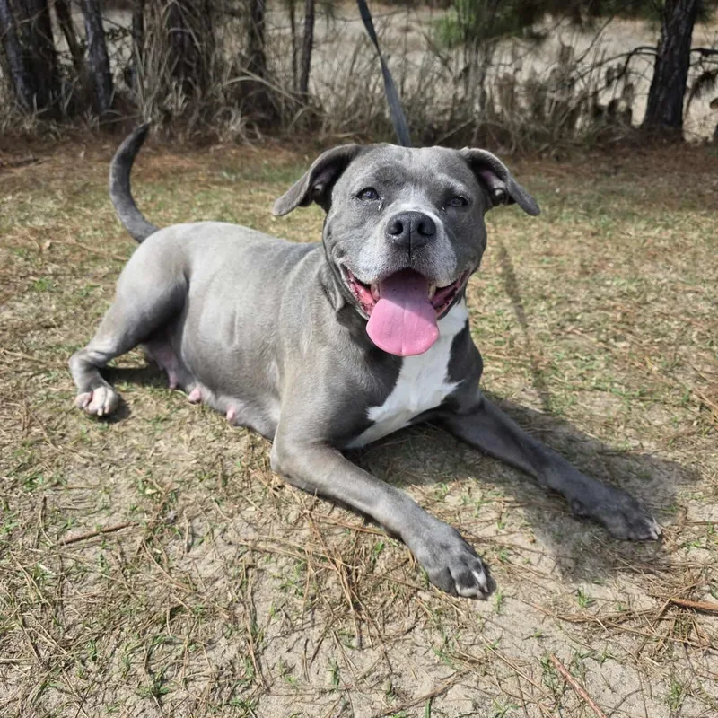 Winnie Mae thumbnail 2