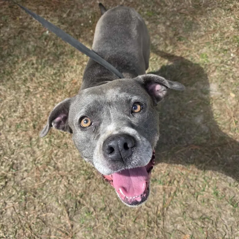 Winnie Mae thumbnail 3