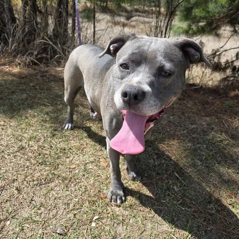 Winnie Mae thumbnail 5