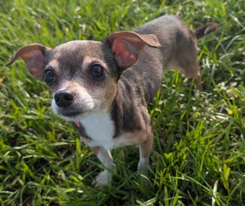 Hershey thumbnail 2