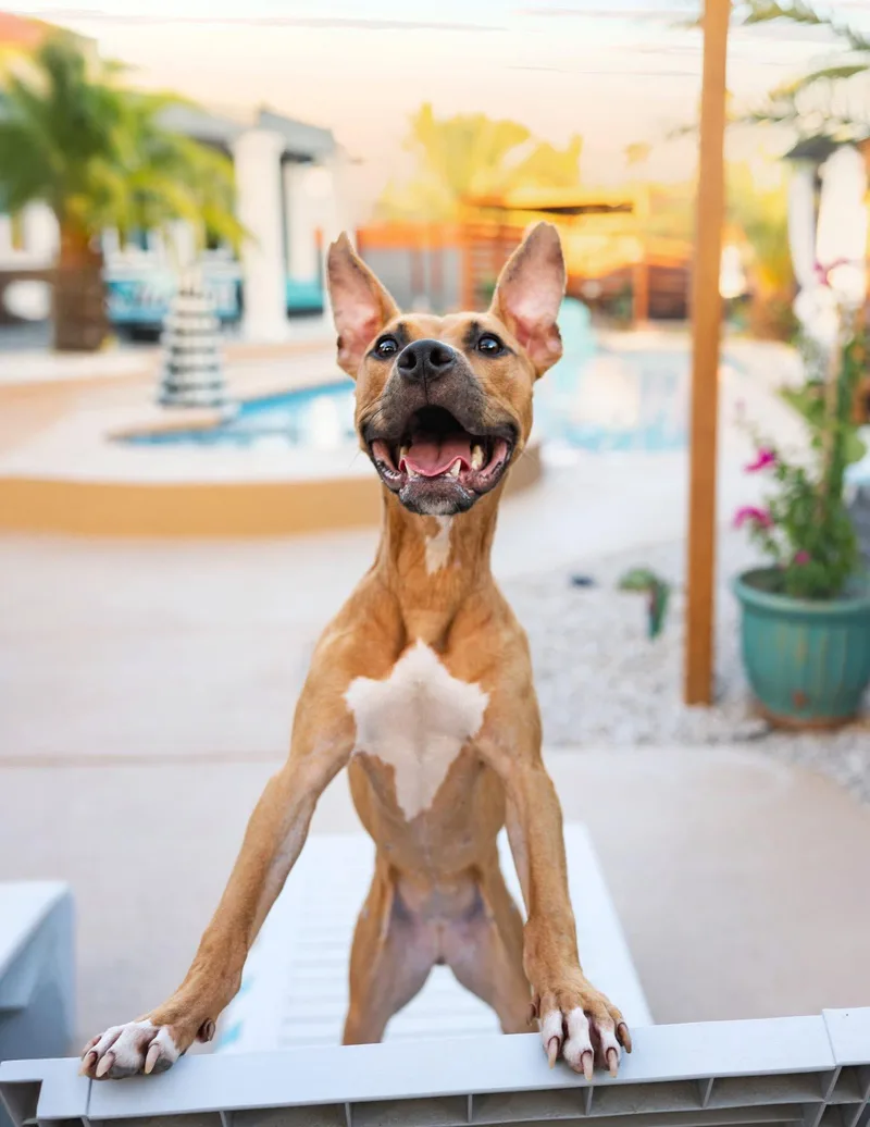 Tallulah thumbnail 5